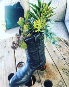 Daddy's boot succulent