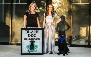 black dog interiors coming soon to roswell