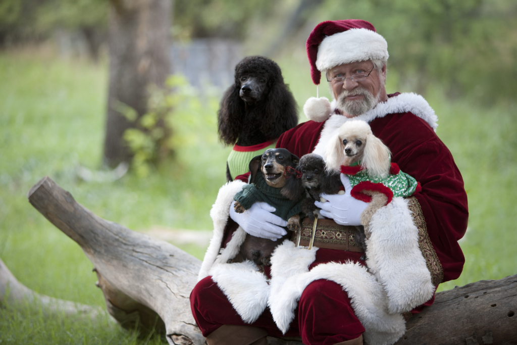 Santa Fur Babies at Black Dog Interiors Roswell