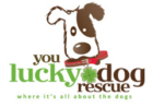 You Lucky Dog logo